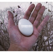Edelweiss