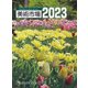 美術市場　2023 [単行本]