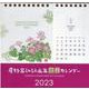星野富弘詩画集卓上カレンダー 2023 [カレンダー]