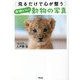 見るだけで心が整うかわいい動物の写真 [単行本]