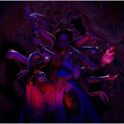 女王蜂／十二次元