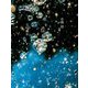 水を伝う―玉川毒水 [単行本]