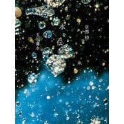 水を伝う―玉川毒水 [単行本]