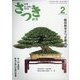 さつき研究 2023年 02月号 [雑誌]