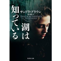 湖は知っている(集英社文庫) [文庫]