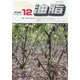 油脂 2022年 12月号 [雑誌]