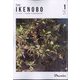 The Ikenobo (ざ・いけのぼう) 2023年 01月号 [雑誌]