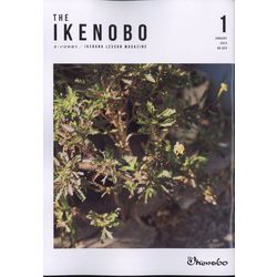 The Ikenobo (ざ・いけのぼう) 2023年 01月号 [雑誌]