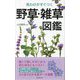 見わけがすぐつく 野草・雑草図鑑 [単行本]