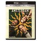 アムステルダム [UltraHD Blu-ray]