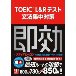 TOEIC L&Rテスト文法集中対策 [単行本]
