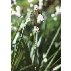 在りのまま―静かな愛に気づく [単行本]