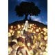 ベルセルク 黄金時代篇 MEMORIAL EDITION [Blu-ray Disc]
