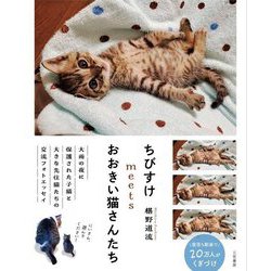 ちびすけmeetsおおきい猫さんたち [単行本]
