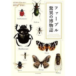 ファーブル驚異の博物誌 [単行本]