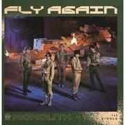 FLY AGAIN