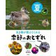生き物が教えてくれる 季節のおとずれ 夏―アサガオ・セミ・ホタルほか [全集叢書]