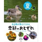 生き物が教えてくれる 季節のおとずれ 夏―アサガオ・セミ・ホタルほか [全集叢書]