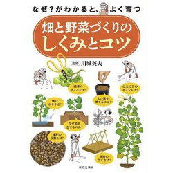 畑と野菜づくりのしくみとコツ―なぜ?がわかると、よく育つ [単行本]