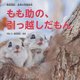 もも助の、引っ越しだもん―尾阪昌紀・良幸の写真絵本 [絵本]