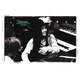 五輪真弓／THE SHOW Best Concert Album '75