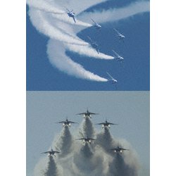 ブルーインパルス・ベストセレクション 2013-2016 [DVD]