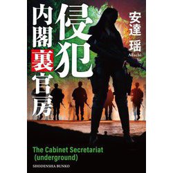 侵犯 内閣裏官房(祥伝社文庫) [文庫]