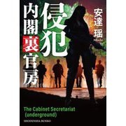 侵犯 内閣裏官房(祥伝社文庫) [文庫]