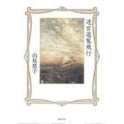 迷宮遊覧飛行 [単行本]