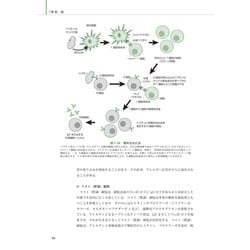 ヨドバシ.com - 図解 薬害・副作用学 改訂3版 (みてわかる薬学