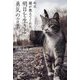 超訳 猫が教えてくれた明日を生きる勇気の言葉 [単行本]