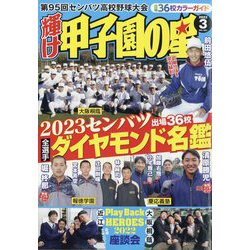 雑誌 甲子園 セール の 星