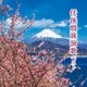 任侠股旅演歌 ベスト (BEST SELECT LIBRARY 決定版)