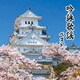 吟詠歌謡 ベスト (BEST SELECT LIBRARY 決定版)