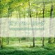 ピアノヒーリング 音楽療法で使われた心のメロディ ベスト (BEST SELECT LIBRARY 決定版)