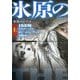 氷原のハデス〈上〉(扶桑社ミステリー) [文庫]