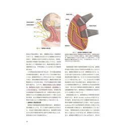 ヨドバシ.com - 深頸筋膜の解剖学的構造から学ぶ 頸部郭清術 [単行本 