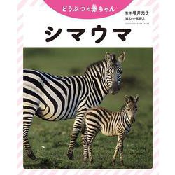 どうぶつの赤ちゃん シマウマ [全集叢書]