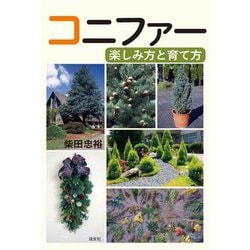 コニファー―楽しみ方と育て方 [単行本]