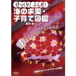 びっくり!ふしぎ!海の求愛・子育て図鑑 [図鑑]