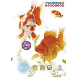 原寸大金魚館(小学館の図鑑NEO 本物の大きさ絵本) [図鑑]