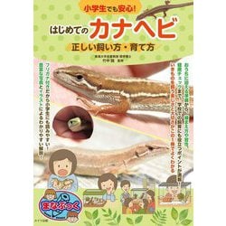 小学生でも安心!はじめてのカナヘビ―正しい飼い方・育て方(まなぶっく) [単行本]