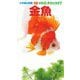 金魚(小学館の図鑑NEO POCKET) [図鑑]