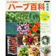 とっておきのハーブ百科 新装版 [単行本]
