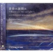 黄昏の狭間に ～Between the twilight～-quantum resonance：量子の共振音 [単行本]