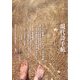 現代詩手帖 2023年 03月号 [雑誌]