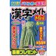 漢字メイトMini (ミニ) 2023年 04月号 [雑誌]