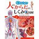 どうなってるの!?人のからだのしくみ大図解〈4〉呼吸と血液の循環 [単行本]