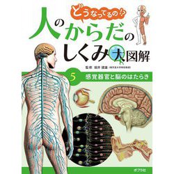 どうなってるの!?人のからだのしくみ大図解〈5〉感覚器官と脳のはたらき [単行本]