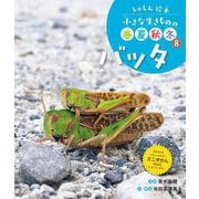 しゃしん絵本 小さな生きものの春夏秋冬〈8〉バッタ [単行本]